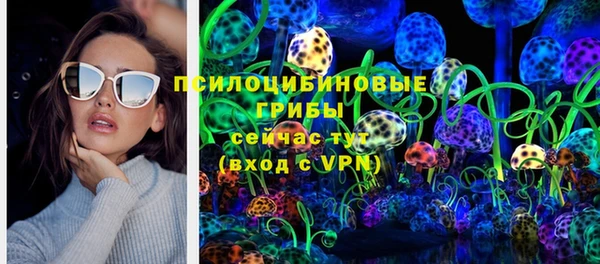Альфа ПВП Баксан