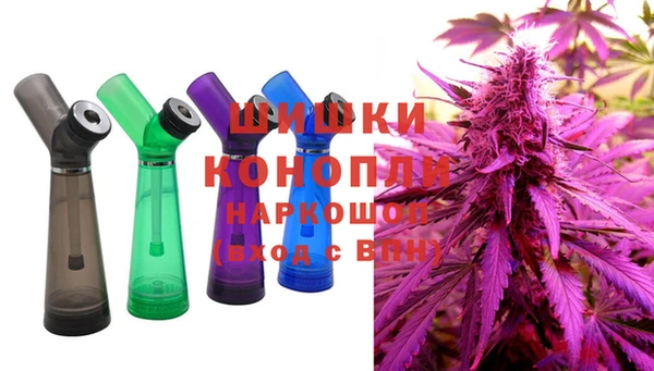 PSILOCYBIN Балахна